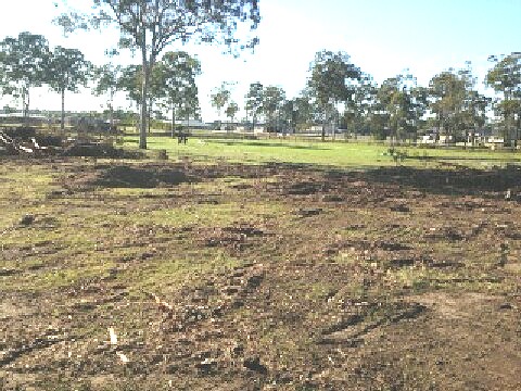 LAND CLEANING BURPENGARY POWER STICK RAKE